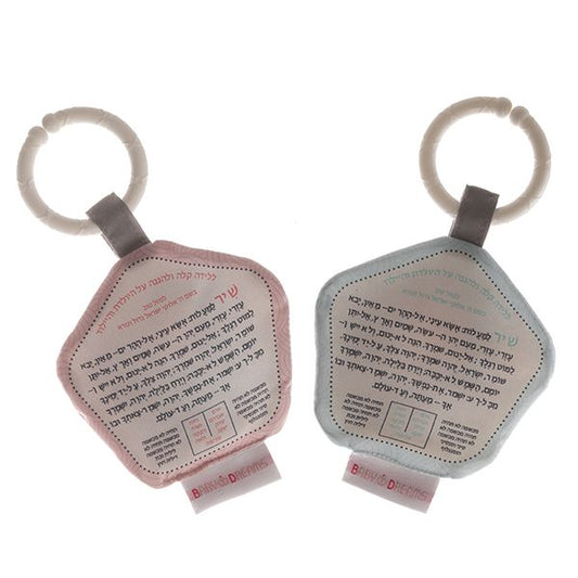 שמירה ליולדת – מחזיק