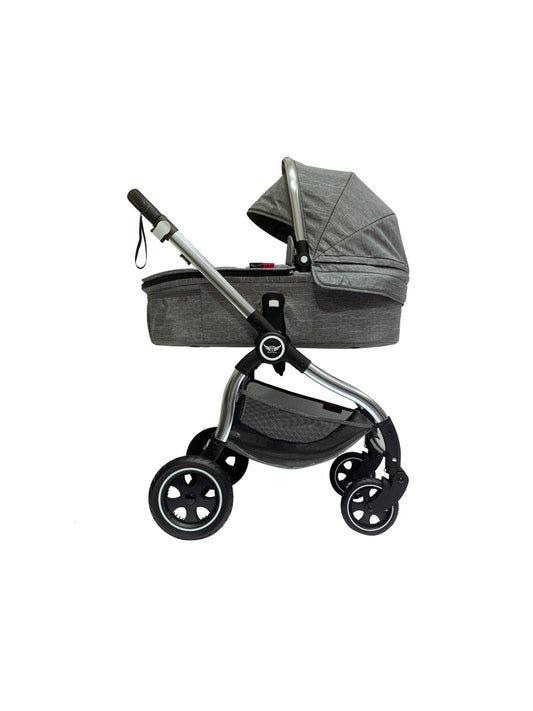 צ'יטה בסיס אפור השלמה אפור שלד ניקל