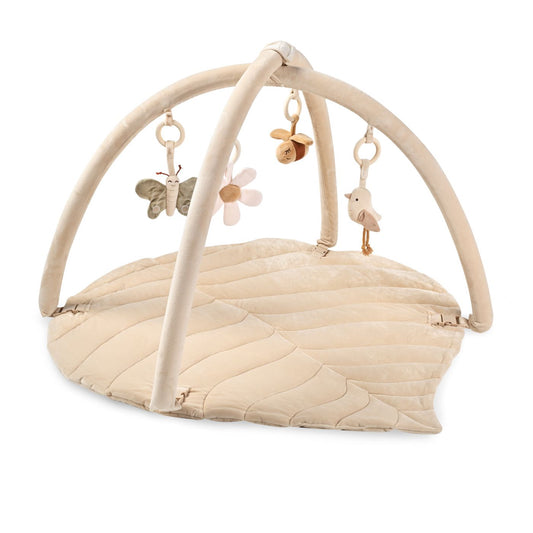 אוניברסיטה לתינוק בז'