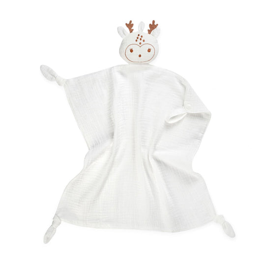 שמיכי איילה