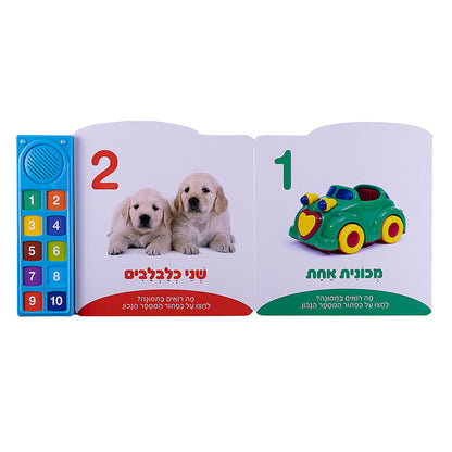 המספרים הראשונים שלי - ספר אינטראקטיבי